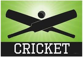 Cricket Poster